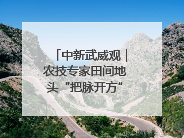 中新武威观｜农技专家田间地头“把脉开方”送“及时雨”