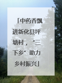 中药香飘进新化县坪塘村，“三下乡”助力乡村振兴
