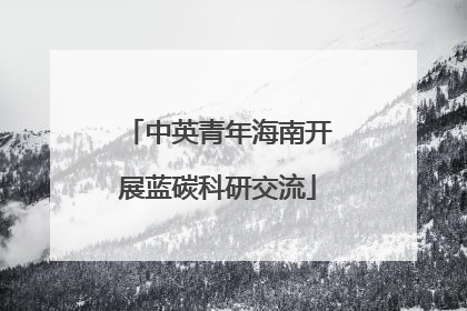 中英青年海南开展蓝碳科研交流