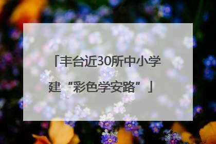 丰台近30所中小学建“彩色学安路”