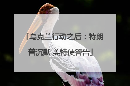 乌克兰行动之后：特朗普沉默 美特使警告