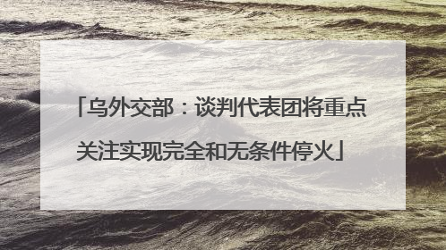 乌外交部：谈判代表团将重点关注实现完全和无条件停火