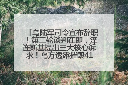 乌陆军司令宣布辞职！第二轮谈判在即，泽连斯基提出三大核心诉求！乌方透露摧毁41架俄战略轰炸机