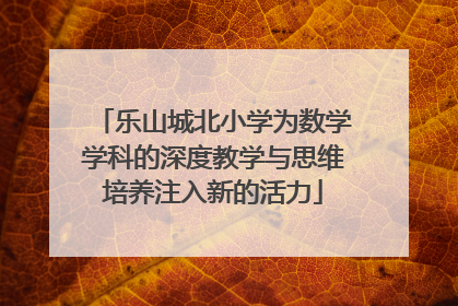 乐山城北小学为数学学科的深度教学与思维培养注入新的活力