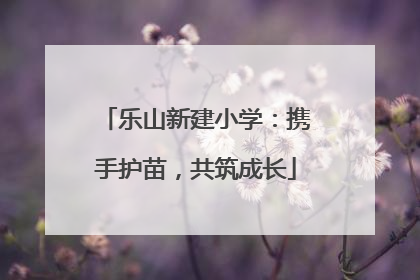 乐山新建小学：携手护苗，共筑成长