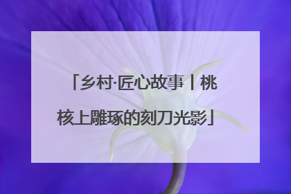 乡村·匠心故事丨桃核上雕琢的刻刀光影