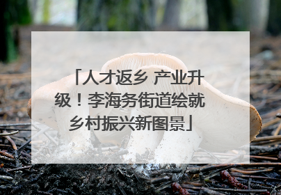 人才返乡 产业升级！李海务街道绘就乡村振兴新图景