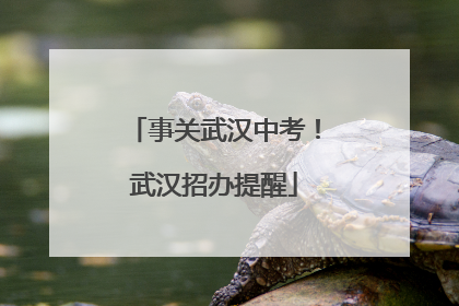 事关武汉中考！武汉招办提醒