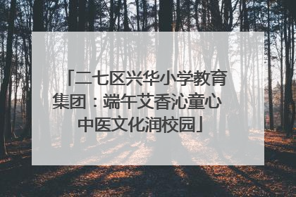 二七区兴华小学教育集团：端午艾香沁童心 中医文化润校园