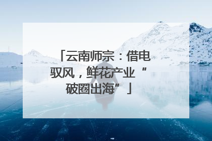 云南师宗：借电驭风，鲜花产业“破圈出海”