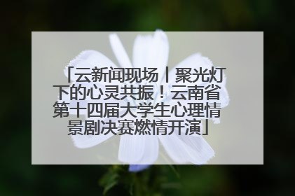 云新闻现场丨聚光灯下的心灵共振！云南省第十四届大学生心理情景剧决赛燃情开演