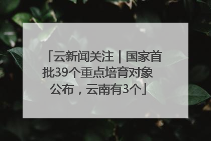 云新闻关注|国家首批39个重点培育对象公布,云南有3个