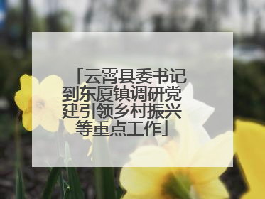 云霄县委书记到东厦镇调研党建引领乡村振兴等重点工作