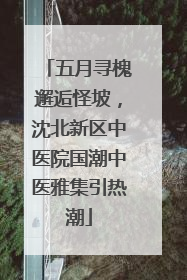 五月寻槐邂逅怪坡，沈北新区中医院国潮中医雅集引热潮