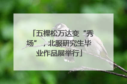 五棵松万达变“秀场”，北服研究生毕业作品展举行