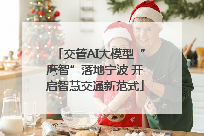 交管AI大模型“鹰智”落地宁波 开启智慧交通新范式