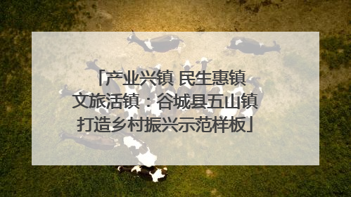 产业兴镇 民生惠镇 文旅活镇：谷城县五山镇打造乡村振兴示范样板