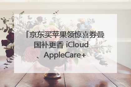 京东买苹果领惊喜券叠国补更香 iCloud、AppleCare+服务限时低至85折