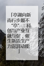 亭湖向新而行步履不“亭”：科创与产业互融互促，催生新质生产力澎湃动能