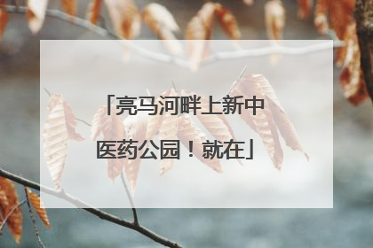 亮马河畔上新中医药公园！就在