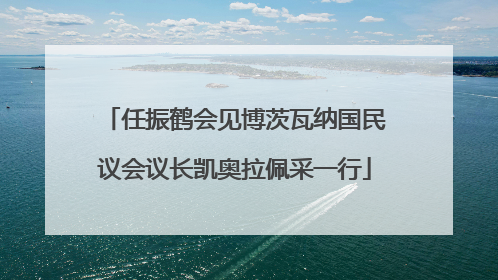 任振鹤会见博茨瓦纳国民议会议长凯奥拉佩采一行