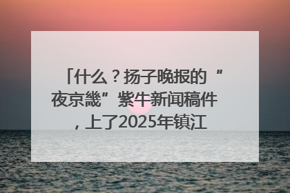 什么？扬子晚报的“夜京畿”紫牛新闻稿件，上了2025年镇江中考模拟卷！
