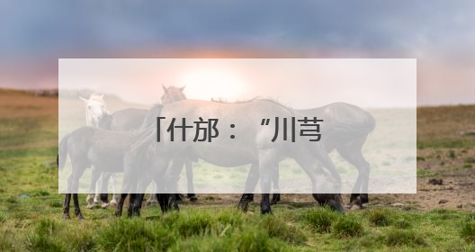 什邡：“川芎密码”解锁乡村振兴新图景