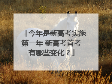 今年是新高考实施第一年 新高考首考有哪些变化？