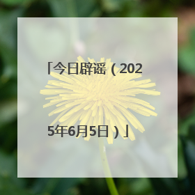 今日辟谣（2025年6月5日）