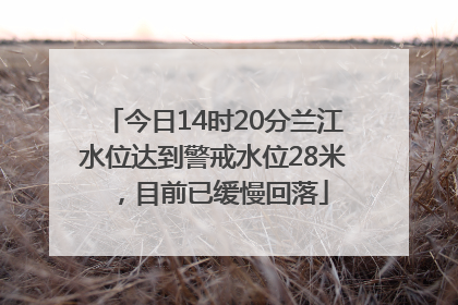 今日14时20分兰江水位达到警戒水位28米，目前已缓慢回落