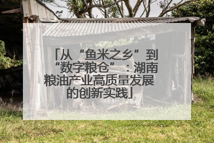 从“鱼米之乡”到“数字粮仓”：湖南粮油产业高质量发展的创新实践