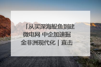 从买深海鳀鱼到建微电网 中企加速掘金非洲现代化｜直击中非经贸博览会