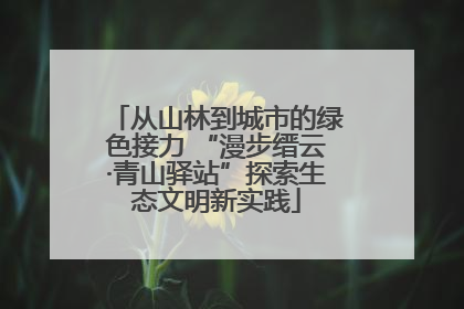 从山林到城市的绿色接力 “漫步缙云·青山驿站”探索生态文明新实践