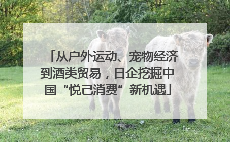 从户外运动、宠物经济到酒类贸易，日企挖掘中国“悦己消费”新机遇