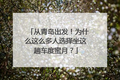 从青岛出发！为什么这么多人选择坐这趟车度蜜月？