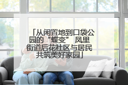 从闲置地到口袋公园的“蝶变” 凤里街道后花社区与居民共筑美好家园