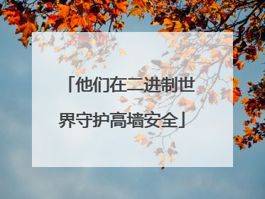 他们在二进制世界守护高墙安全