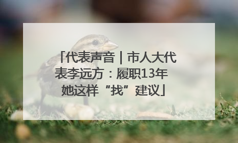代表声音｜市人大代表李远方：履职13年 她这样“找”建议