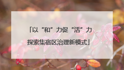 以“和”力促“活”力 探索集宿区治理新模式