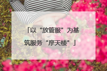 以“放管服”为基筑服务“摩天楼”