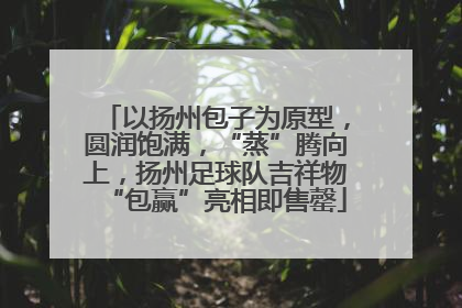 以扬州包子为原型，圆润饱满，“蒸”腾向上，扬州足球队吉祥物“包赢”亮相即售罄