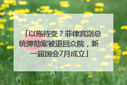 以拖待变？菲律宾副总统弹劾案被退回众院，新一届国会7月成立