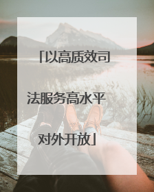 以高质效司法服务高水平对外开放