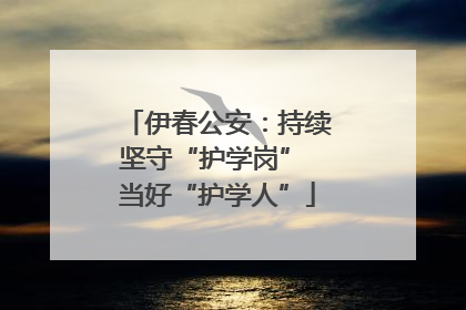 伊春公安：持续坚守“护学岗” 当好“护学人”