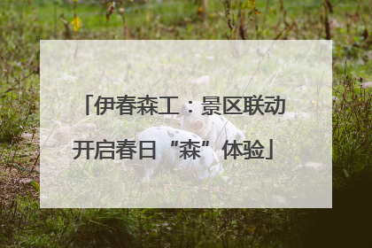 伊春森工：景区联动开启春日“森”体验
