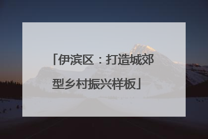 伊滨区：打造城郊型乡村振兴样板