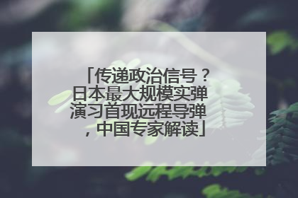 传递政治信号？日本最大规模实弹演习首现远程导弹，中国专家解读