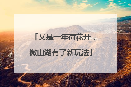 又是一年荷花开，微山湖有了新玩法