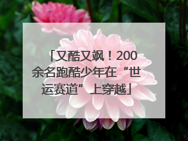 又酷又飒！200余名跑酷少年在“世运赛道”上穿越