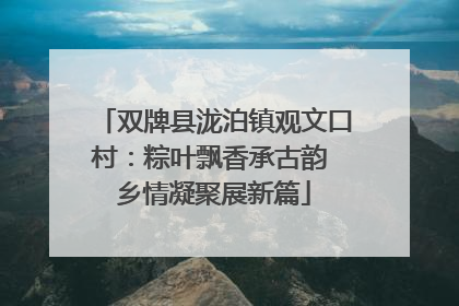 双牌县泷泊镇观文口村：粽叶飘香承古韵 乡情凝聚展新篇